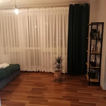 Gagarina 31 扎布热