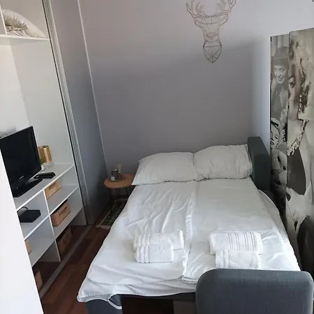 Gagarina 31 公寓 扎布热